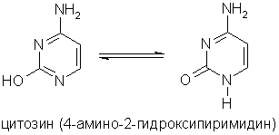 Пиримидиновые основания