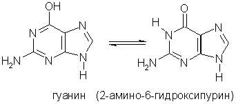 Пуриновые основания