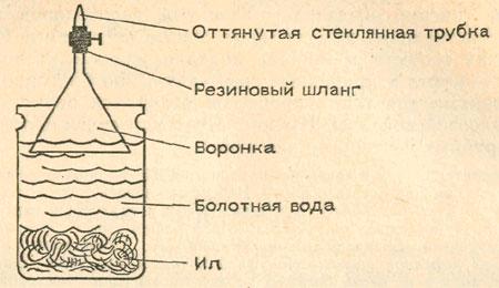 Болотный газ