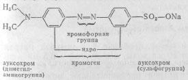 Тайна цвета