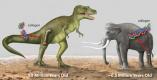 Белки Тиранозавра Рекса помогают в исследовании эволюции