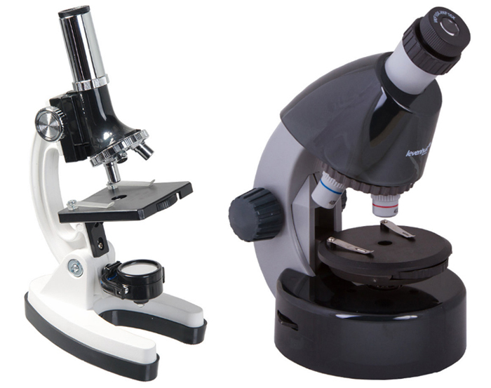 Микроскопы: разновидности и принцип работы