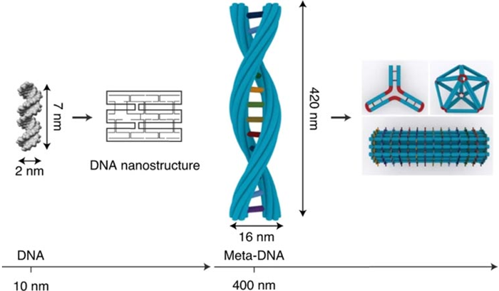 Структуры мета-ДНК трансформируют мир нанотехнологий ДНК