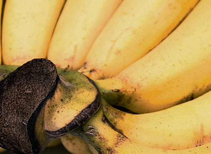 Создание биотоплива из банановой кожуры