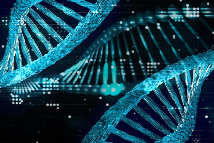 Концепция технологии здоровья ДНК