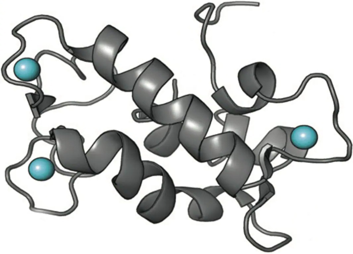 Структура природного белка под названием ланмодулин