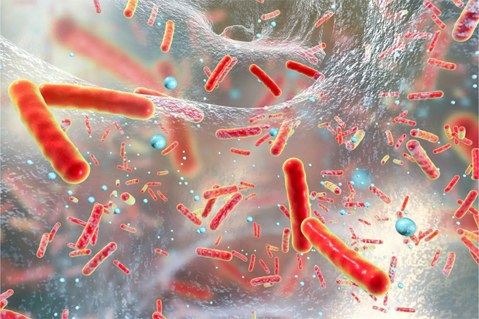 Красные бактерии микробы